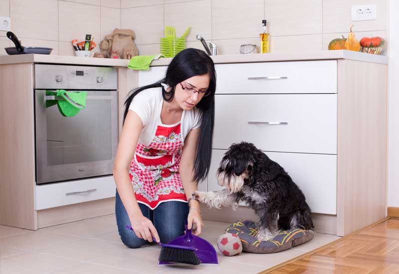 cleaning-home-after-messy-pets