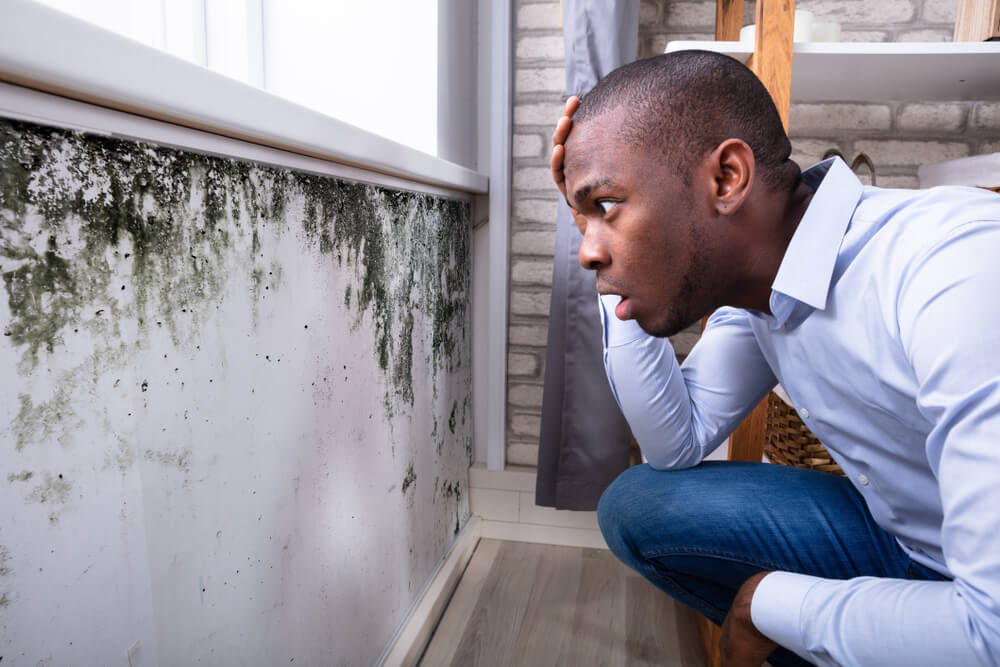 How to Remove Stains Off Painted Walls