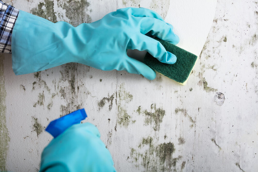 How to Remove Stains Off Painted Walls