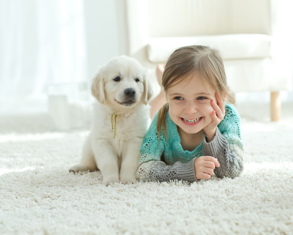 Carpet Cleaning Tips and Maintenance